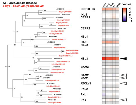 BAT: an integrated pipeline for gene tree construction, annotation, and functional inference | brvbi | RMH | Scoop.it