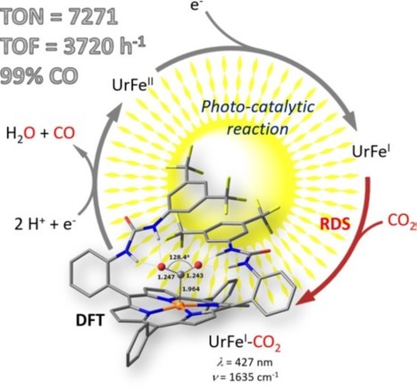 Insights into the photocatalytic cycle highlighted at I2BC | I2BC Paris-Saclay | Scoop.it