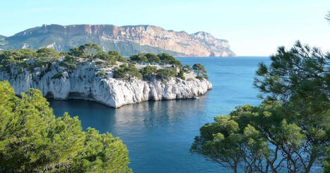 Zones de protection forte&nbsp;: l'&Eacute;tat labellise 63&nbsp;espaces maritimes -&nbsp;Actu-Environnement | Biodiversit&eacute; | Scoop.it