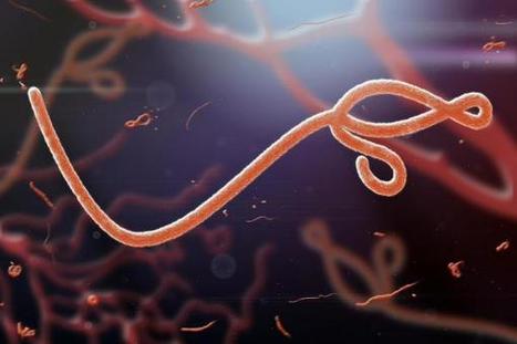 Ebola survivors feel long-term effects of virus | Virology News | Scoop.it