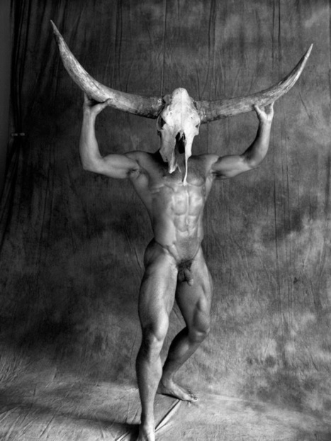 Outback Dusk by Paul Freeman - JP PLUS! | JIMIPARADISE! | Scoop.it