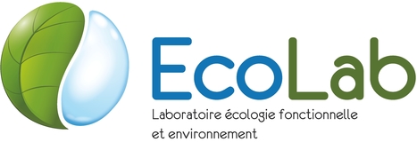 [INP-Recherche] Recherche toulousaine : cinq jeunes scientifiques récompensées | InMédias | Scoop.it