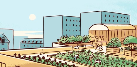 BD : Pourquoi mettre des fermes dans les villes ? | ESPACES VEGETALISES URBAINS | Scoop.it