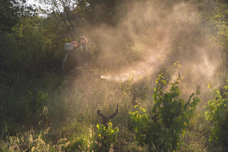 Malgré l’interdiction de certains pesticides en 2019, 3 000 litres saisis chez des particuliers - Le Monde | Biodiversité | Scoop.it