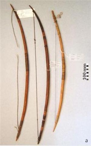 The complex thinking behind the bow and arrow | Science News | Scoop.it