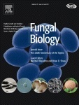 Fungal Biology: Vectors for fluorescent protein tagging in Phytophthora: Tools for functional genomics and cell biology | Plants and Microbes | Scoop.it