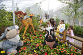 Music and flowers at Epcot garden festival | Gardening Life | Scoop.it