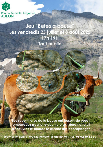 Aulon - Jeu "Bêtes à Bouse" les 25 juillet et 8 août | Vallées d'Aure & Louron - Pyrénées | Scoop.it
