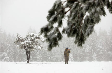 Le nucl&eacute;aire reprend espoir malgr&eacute; ses d&eacute;boires | Non au Nucl&eacute;aire | Scoop.it