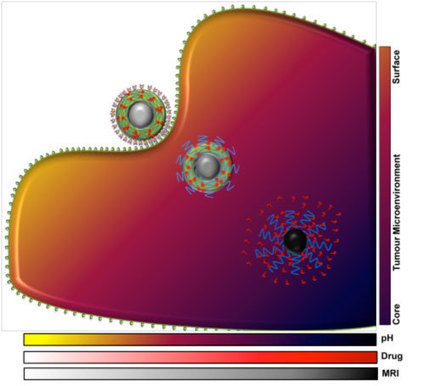 Smart cancer nanotheranostics | 21st Century Innovative Technologies and Developments as also discoveries, curiosity ( insolite)... | Scoop.it