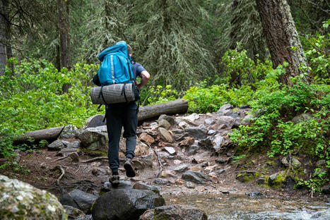 A walk on the wild side becomes more than just exercise | Physical and Mental Health - Exercise, Fitness and Activity | Scoop.it