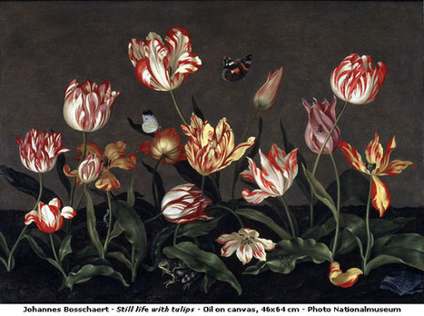 Art: Johannes Bosschaert's "Still life with tulips" depicts color-break virus symptoms | Plants and Microbes | Scoop.it