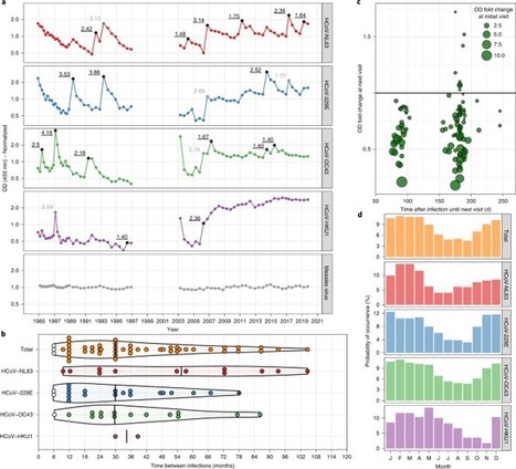 Seasonal coronavirus protective immunity is short-lasting | Mucosal Immunity | Scoop.it