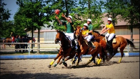 Bray-Dunes : rendez-vous dimanche après-midi sur la plage pour un show équestre! | Salon du Cheval | Scoop.it