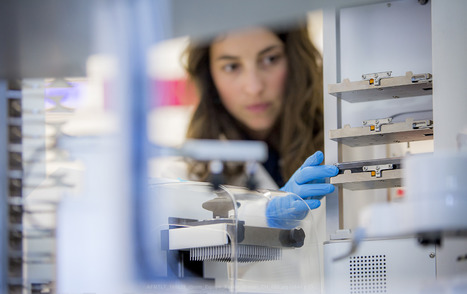 Identification d’une nouvelle piste thérapeutique pour le traitement de la myopathie des ceintures de type 2D | Life Sciences Université Paris-Saclay | Scoop.it