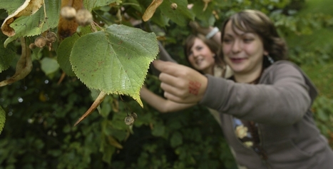 Geographical Association - Fieldwork ideas and resources | Primary geography | Scoop.it