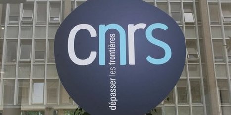 23 bourses ERC attribuées à des chercheurs du CNRS Midi-Pyrénées en 10 ans | L'IRIT UMR5505 (CNRS-Toulouse INP-UT-UT Capitole-UT2) dans les médias en ligne | Scoop.it