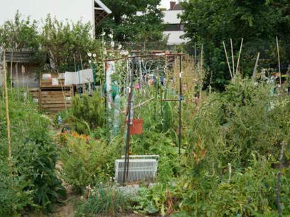 [Dossier] La nature en ville : Quelles perceptions pour quelles actions ? | Aménager avec la biodiversité | ESPACES VEGETALISES URBAINS | Scoop.it