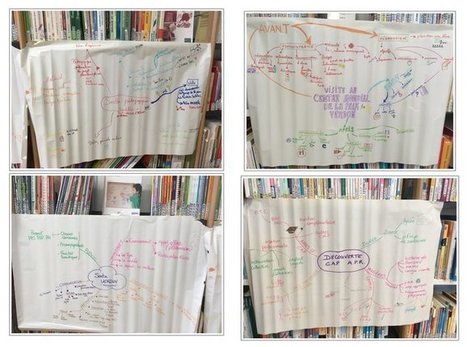 Cartes mentales et cartes conceptuelles et hétérogénéité des élèves   | Classemapping | Scoop.it
