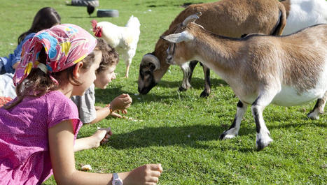 Tourisme vert : le bonheur est dans la ferme | (Macro)Tendances Tourisme & Travel | Scoop.it