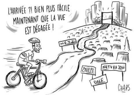 En Moselle, le Tour de France massacre des arbres magnifiques | ACTUALITÉ | Scoop.it