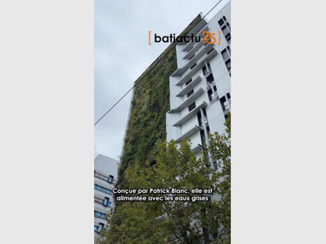 C'est dans l'actu : une fa&ccedil;ade v&eacute;g&eacute;tale arros&eacute;e avec l'eau des douches d'une r&eacute;sidence | Architecture - Construction | Scoop.it