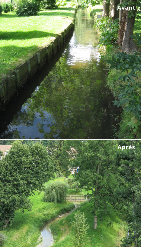Le Centre européen de restauration des rivières découvre les projets français sur le terrain - Agence française pour la biodiversité | Biodiversité | Scoop.it