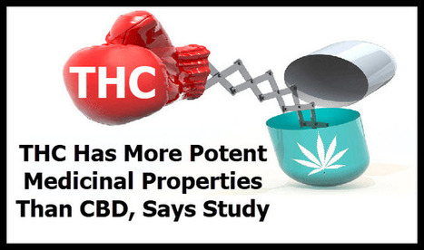 THC Has More Potent Medicinal Properties Than CBD Says Study | Cannabis.Net | Scoop.it
