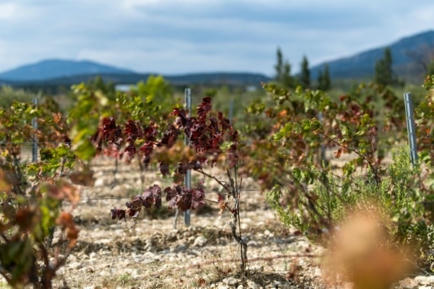 Climat : la France a connu son mois de septembre le plus pluvieux depuis 25 ans | Toxique, soyons vigilant ! | Scoop.it