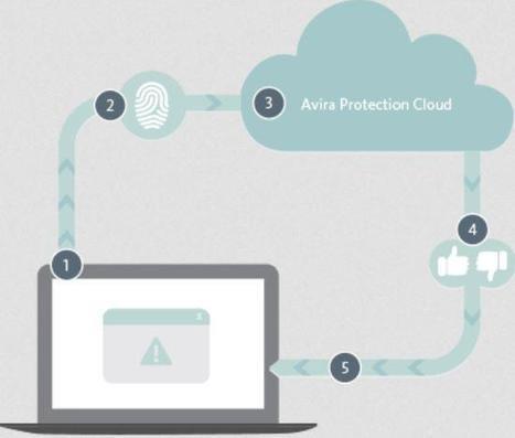 avira free antivirus f&ecirc;te ses 25 ans (infographie) | S&eacute;curit&eacute; informatique | Scoop.it