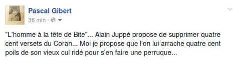 Alain Juppé propose de supprimer quatre cent versets du Coran | Actualités France | Scoop.it