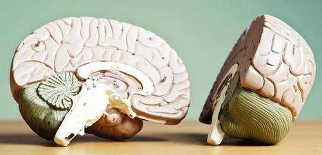 On Living, and Thinking, in Two Languages at Once | Linguistics & Language Neurology | Scoop.it