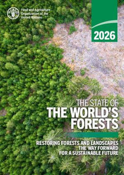 The State of the World&rsquo;s Forests 2026 | &Eacute;cosyst&egrave;mes Tropicaux | Scoop.it