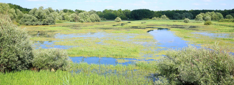 Une vaste évaluation française pointe la dégradation des milieux humides | Zones humides - Ramsar - Océans | Scoop.it