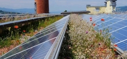Biodiversité, photovoltaïque : réveillons les énergies qui sommeillent sur nos toits ! | Build Green, pour un habitat écologique | Scoop.it