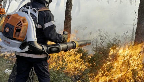 Le pyropaysage ou comment vivre avec le feu | Biodiversité - @ZEHUB on Twitter | Scoop.it