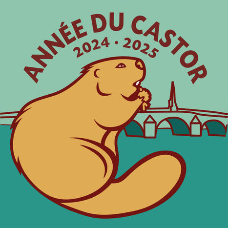 L’Année du Castor | Biodiversité | Scoop.it