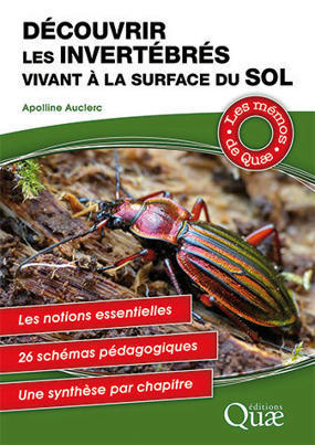 Apolline Auclerc : Découvrir les invertébrés vivant à la surface du sol | Variétés entomologiques | Scoop.it