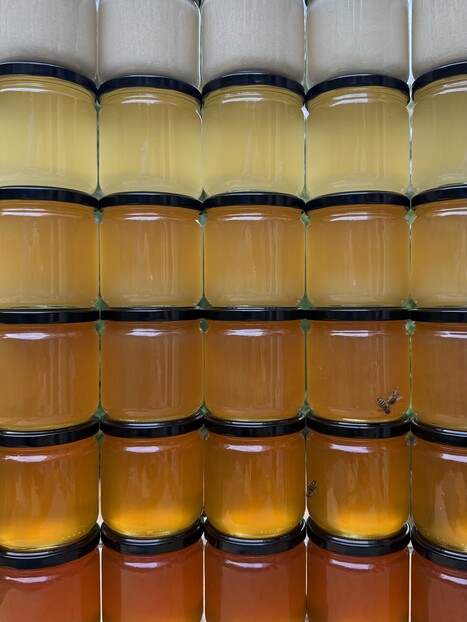 Une bonne récolte de miel en 2025 mais toujours des menaces sur les abeilles | Les Colocs du jardin | Scoop.it