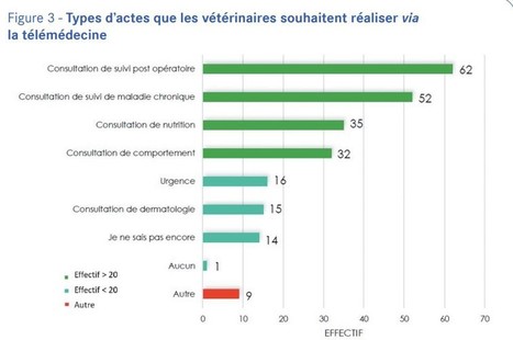 Les outils connectés peuvent contribuer à l’essor de la télémédecine vétérinaire | Lait de Normandie... et d'ailleurs | Scoop.it