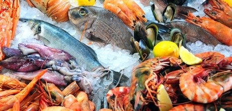 Federal task force proposals set stage for new seafood trade strategy | National Oceanic and Atmospheric Administration | Coastal Restoration | Scoop.it