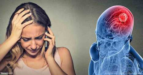 How Cellphones Can Cause Brain Tumors and Trigger Chronic Disease | emf protection | Scoop.it