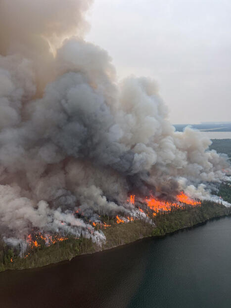 When a forest burns, what does it mean for lakes? Scientists are trying to find out - Circle of Blue | Operation Deimos | Scoop.it