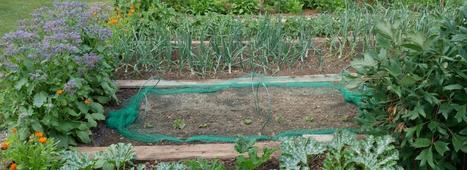 Agriculture urbaine et contamination : une démarche pour évaluer et gérer les risques sanitaires | ESPACES VEGETALISES URBAINS | Scoop.it