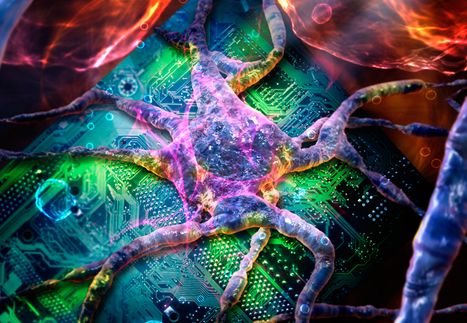 First Human Infected with a Computer Virus | Amazing Science | Scoop.it