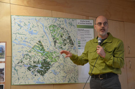 Une victoire &agrave; port&eacute;e de main pour les &eacute;cologistes | Ils parlent de nous ! | Scoop.it