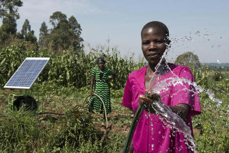 Reaching women farmers with climate resilience strategies in Africa and Asia | CGIAR | Agroecologie et Systèmes Alimentaires Durables | Scoop.it