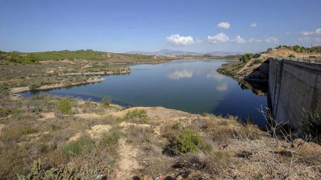 Declarada la sequía extraordinaria en la cuenca del Segura, España #SPAIN #drought #Murcia | MED-Amin network | Scoop.it