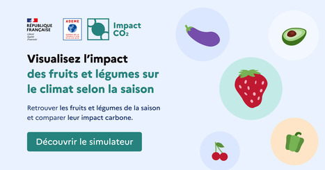 Sensibiliser à l'impact des fruits et légumes de saisons sur le climat : retrouvez les fruits et légumes de la saison et comparez leur empreinte carbone | Insect Archive | Scoop.it