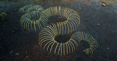 Julien Mouroux: Vert-de-Terre | Art Installations, Sculpture, Contemporary Art | Scoop.it